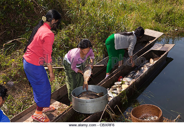 india-manipur-imphal-loktak-lake-sendra-island-fishing-village-women-cbxrf6